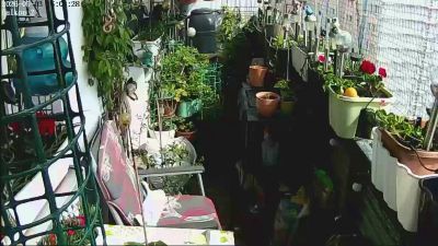 sweetnude83 webcam model stream image