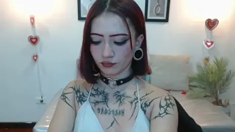 Evanss_lx webcam model stream image