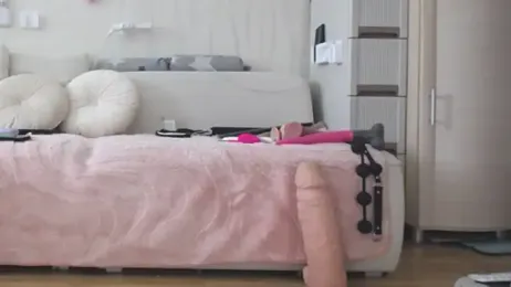 Prjskoviy webcam model stream image