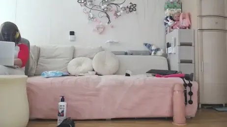 Prjskoviy webcam model stream image