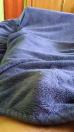 polli_play webcam cam4 model stream image