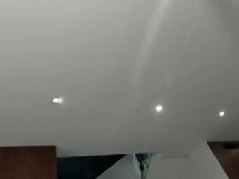 ehotlovea webcam model stream image