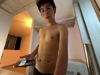 Blum_icee webcam model stream image