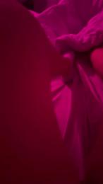 Luffy555 webcam model stream image