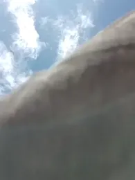 nego5628 webcam model stream image