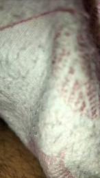 Parma696969 webcam cam4 model stream image