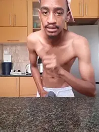 gemini_loops webcam model stream image