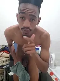 gemini_loops webcam model stream image