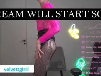 velvettgirl webcam model stream image