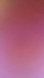 Davlup25 webcam model stream image