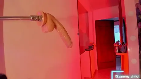 Sammy_charlot webcam model stream image