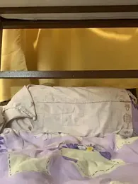 Mar7 webcam model stream image