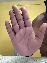 flamingoss webcam model stream image