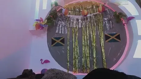 Alanrodgers webcam model stream image