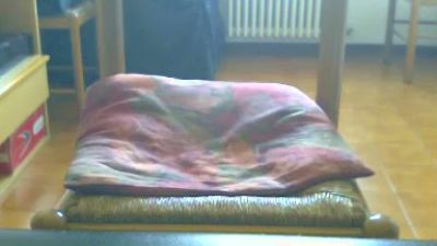 gufetto3 webcam model stream image