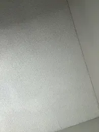 Ebony_Queeen webcam model stream image