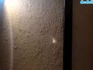 palelaram webcam model stream image