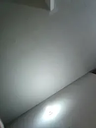lunaywolfgray webcam model stream image