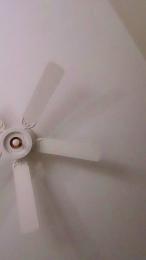 EllisD webcam cam4 model stream image