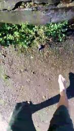 luxxuriax webcam model stream image