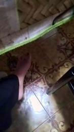 Porcavogliosa81 webcam model stream image