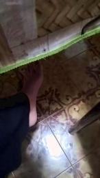 Porcavogliosa81 webcam model stream image