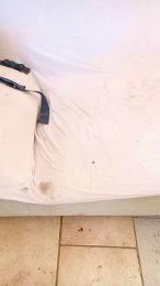 Mooooustache webcam model stream image