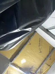 NHMDuc webcam model stream image