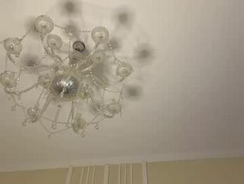 viksons webcam model stream image