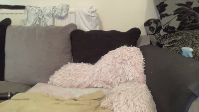 Hotbabe2019 webcam model stream image