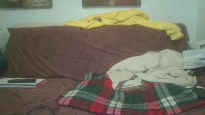 ansaau webcam model stream image