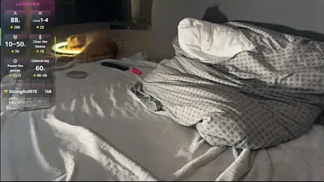 Bastet webcam model stream image