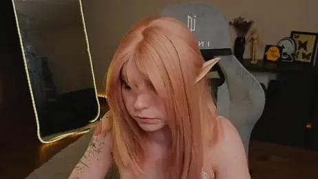 zelda_1 webcam model stream image