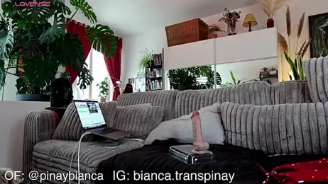 bianca_bellamy webcam stripchat model stream image