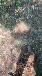 bigloaditaly webcam model stream image