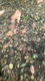 bigloaditaly webcam model stream image