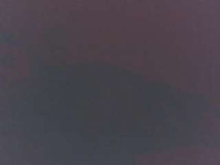 aannal webcam model stream image