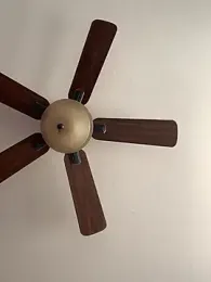 QueenNuttCollector webcam stripchat model stream image