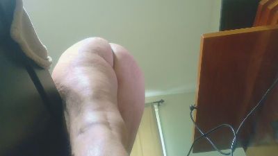 Beardedveteran webcam model stream image