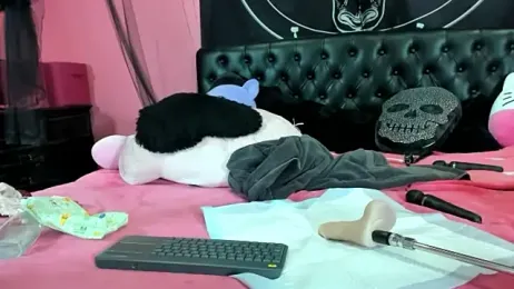 EVILYN stripchat stream image, 09.02.2025 02:00