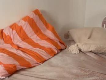 ocicat chaturbate stream image, 29.05.2025 05:10