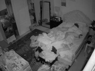 voyeurcam-hornyhostel-02 camsoda stream image, 21.07.2025 04:00