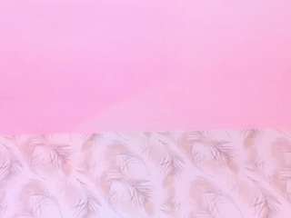 alyssia-collins camsoda stream image, 13.02.2025 14:00