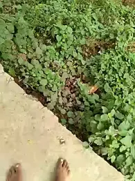 COUPLLE_VILLAGE stripchat stream image, 02.09.2025 02:20