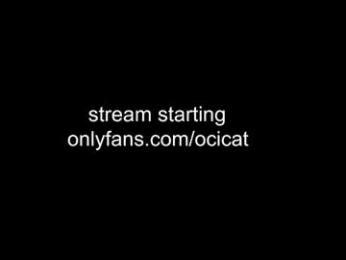 ocicat chaturbate stream image, 23.09.2025 21:00