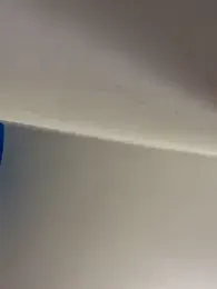 ilariea_girl stripchat stream image