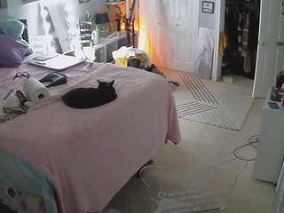 voyeurcam-house-charleys-room camsoda stream image, 15.02.2025 10:20