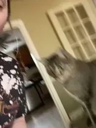 jaseyrae stripchat stream image, 22.02.2025 18:30