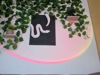 nataliepeterson camsoda stream image, 23.02.2025 04:00