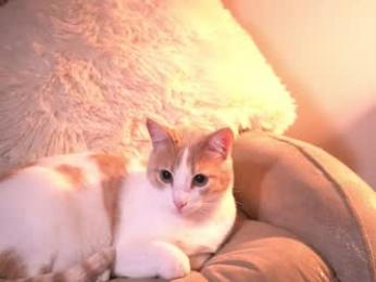 _andyy__ chaturbate stream image